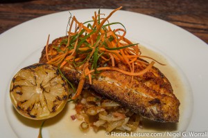 Blackened Gulf Red Snapper