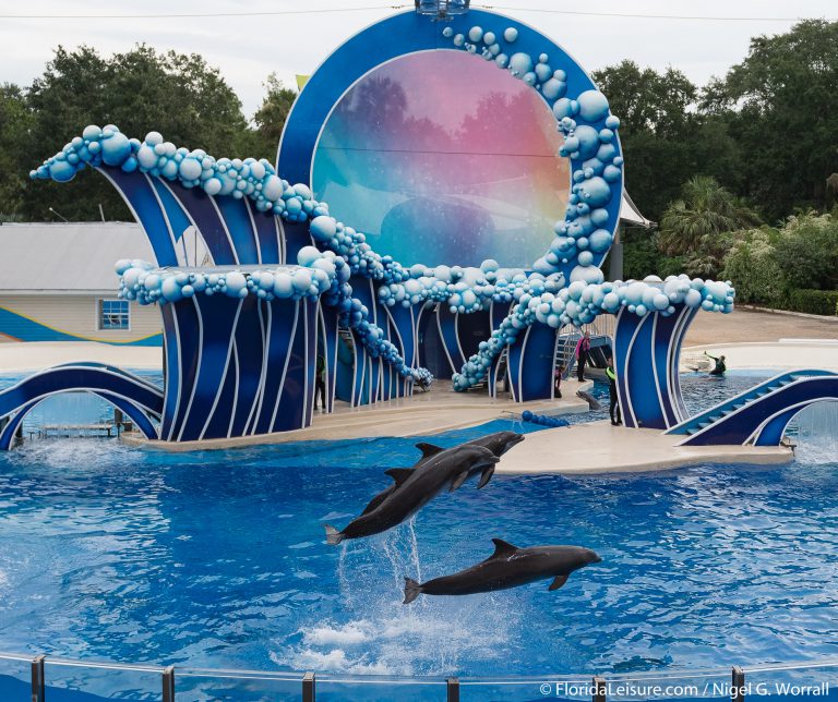 Electric Ocean returns to SeaWorld Orlando